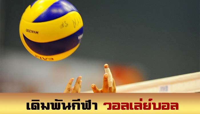 เดิมพันวอลเลย์บอลออนไลน์